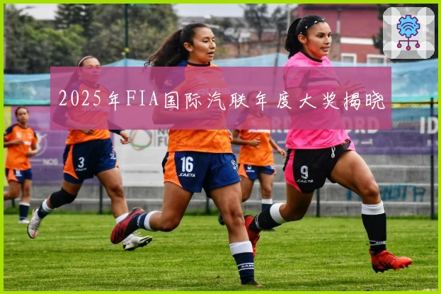 2025年FIA国际汽联年度大奖揭晓