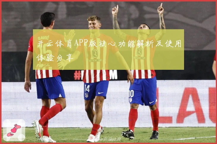 开云体育APP版核心功能解析及使用体验分享