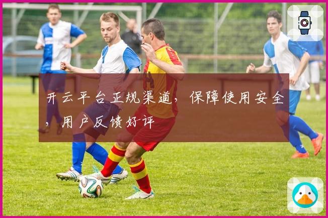 开云平台正规渠道，保障使用安全，用户反馈好评