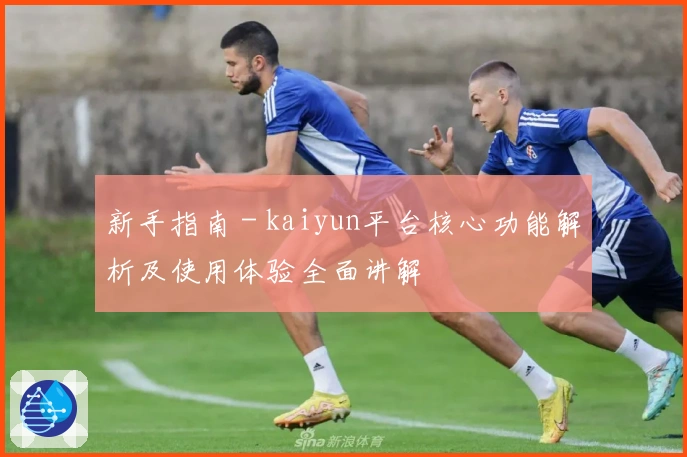 新手指南 - kaiyun平台核心功能解析及使用体验全面讲解