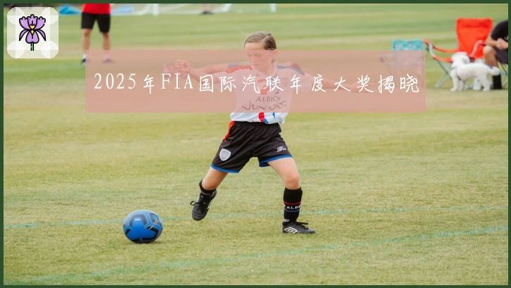 2025年FIA国际汽联年度大奖揭晓