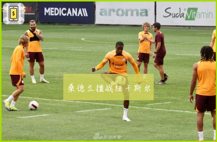 桑德兰擅战纽卡斯尔