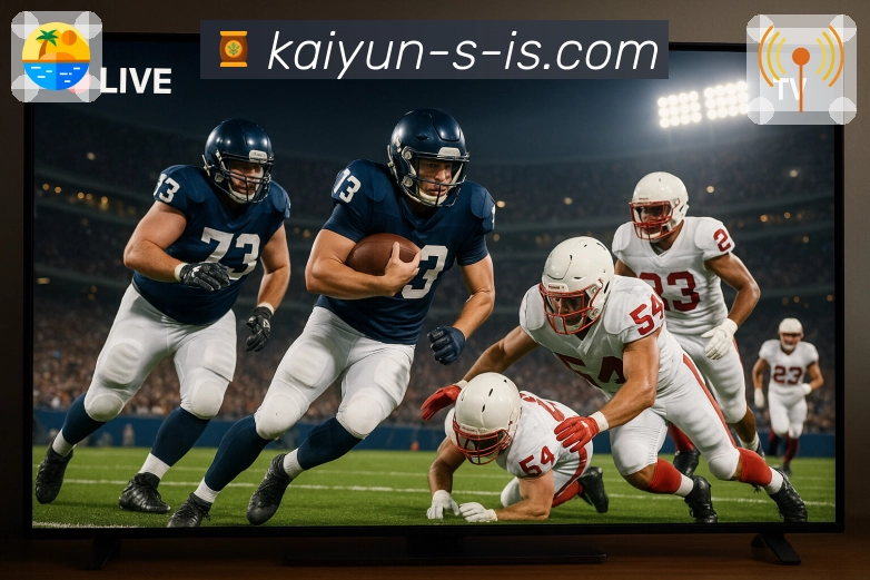 开云 Sports 官方视觉图